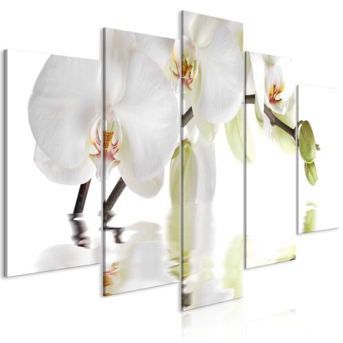 Obraz - Wonderful Orchid (5 Parts) Wide