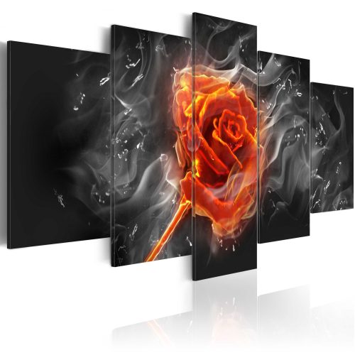 Obraz - Fiery Rose