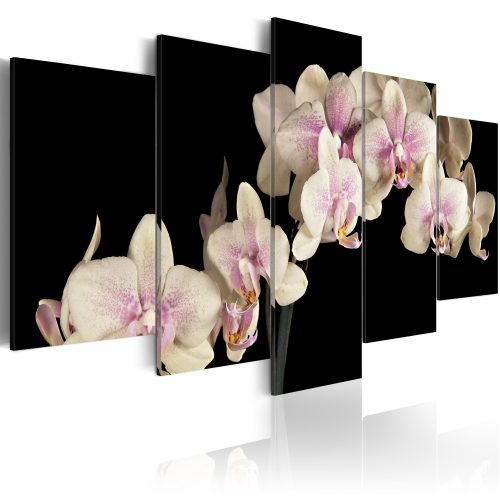 Obraz - Orchidea - kontrast barev