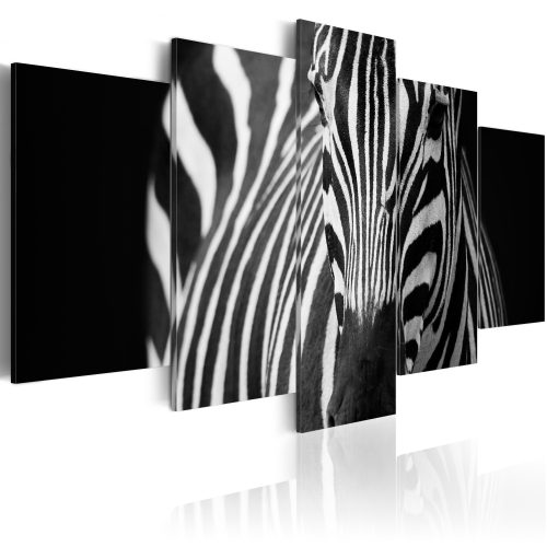 Obraz - Zebra look