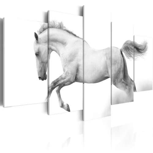 Obraz - Kůň - svoboda a síla